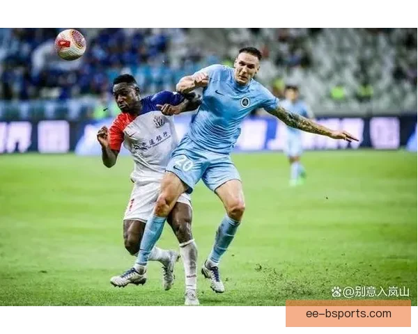 2024欧洲杯决赛票价高企引发球迷热议与购票难题